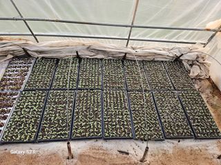 흥부네땅님의 기타작물 · 영농일지 작성글 사진