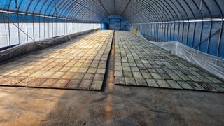 오이15788님의 기타작물 · 영농일지 작성글 사진