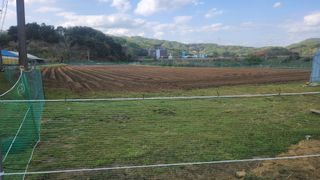 HYUN님의 참깨 · 영농일지 작성글 사진