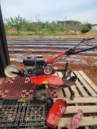 로만아빠님의 감자 · 영농일지 작성글 사진