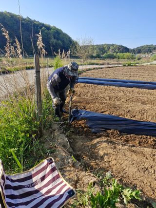 백운농원 님의 기타작물 · 영농일지 작성글 사진