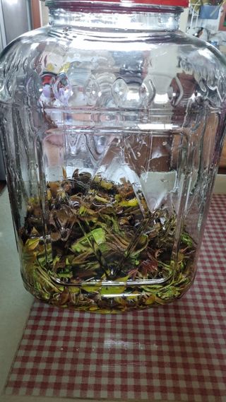 김지철님의 기타작물 · 영농일지 작성글 사진