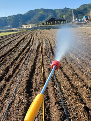 거촌어른님의 고추 · 영농일지 작성글 사진