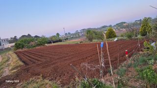 양창근님의 참깨 · 영농일지 작성글 사진