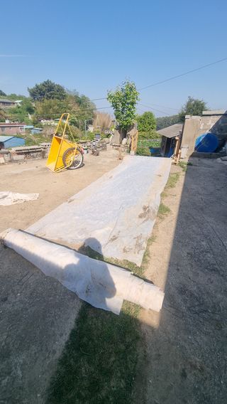 촌사리님의 호박 · 영농일지 작성글 사진