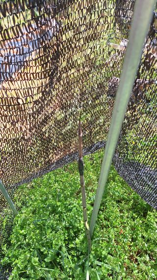 김하동 님의 기타작물 · 영농일지 작성글 사진