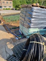 팜모닝 마늘·영농일지 게시글 이미지