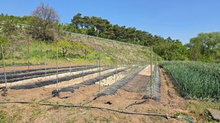 최해목님의 기타작물 · 영농일지 작성글 사진