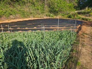 장흥식님의 기타작물 · 영농일지 작성글 사진