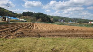 HYUN님의 참깨 · 영농일지 작성글 사진