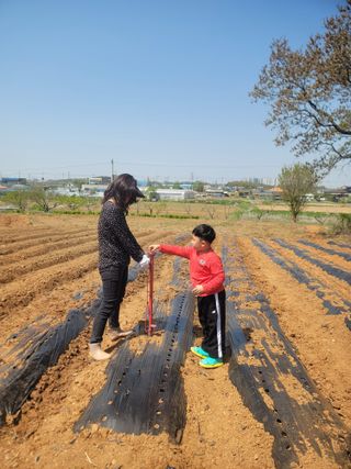 로만아빠님의 기타작물 · 영농일지 작성글 사진