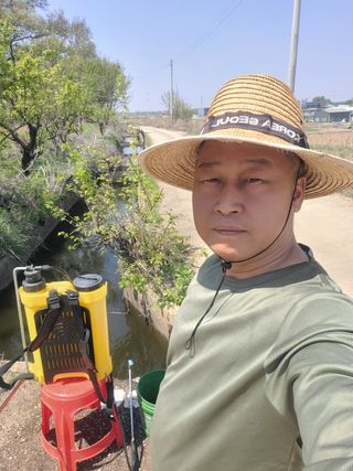 로만아빠님의 감자 · 영농일지 작성글 사진