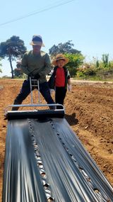 팜모닝 기타작물·영농일지 게시글 이미지