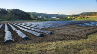 HYUN님의 참깨 · 영농일지 작성글 사진