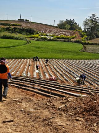 강선미님의 기타작물 · 영농일지 작성글 사진