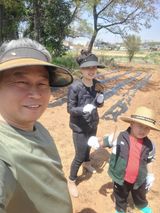 팜모닝 기타작물·영농일지 게시글 이미지