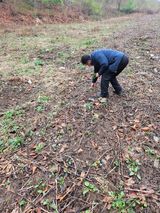 팜모닝 기타작물·영농일지 게시글 이미지