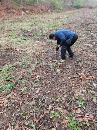 이순열님의 기타작물 · 영농일지 작성글 사진
