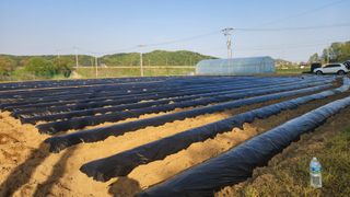 HYUN님의 참깨 · 영농일지 작성글 사진