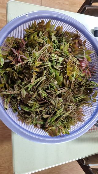 김지철님의 기타작물 · 영농일지 작성글 사진