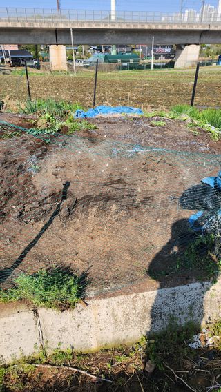 봉담고추님의 고추 · 영농일지 작성글 사진