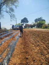 팜모닝 기타작물·영농일지 게시글 이미지