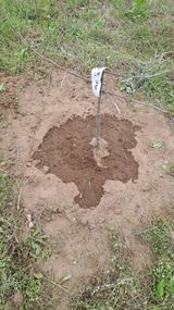 팜모닝 감·영농일지 게시글 이미지