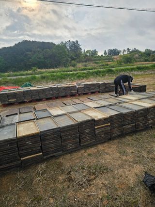 차춘석 님의 벼 · 영농일지 작성글 사진