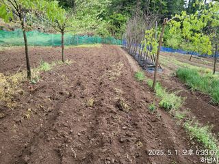 고골농장님의 기타작물 · 영농일지 작성글 사진