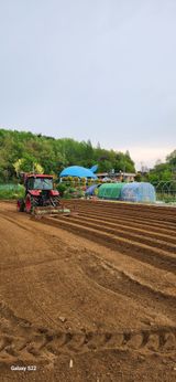 팜모닝 고구마·영농일지 게시글 이미지