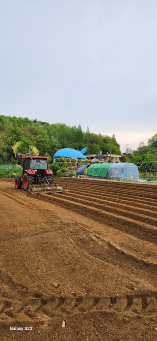 대파19874님의 고구마 · 영농일지 작성글 사진