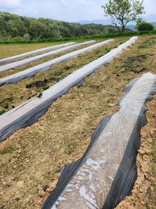 유정근님의 기타작물 · 영농일지 작성글 사진