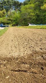 팜모닝 고추·영농일지 게시글 이미지