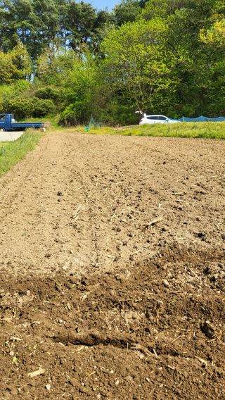 양석원님의 고추 · 영농일지 작성글 사진