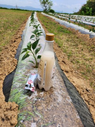 유정근님의 기타작물 · 영농일지 작성글 사진