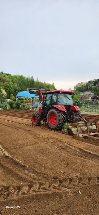 대파19874님의 고구마 · 영농일지 작성글 사진