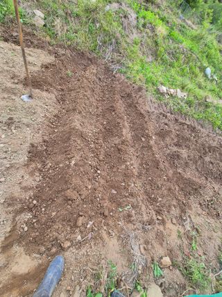 진문거사님의 기타작물 · 영농일지 작성글 사진