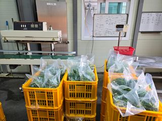 서동일님의 기타작물 · 영농일지 작성글 사진