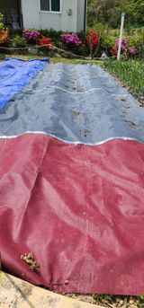 팜모닝 기타작물·영농일지 게시글 이미지