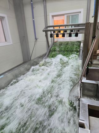 서동일님의 기타작물 · 영농일지 작성글 사진