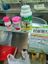 팜모닝 기타작물·영농일지 게시글 이미지