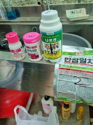 일등병님의 기타작물 · 영농일지 작성글 사진