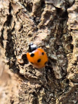 진문거사님의 기타작물 · 영농일지 작성글 사진