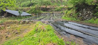 진전님의 고추 · 영농일지 작성글 사진