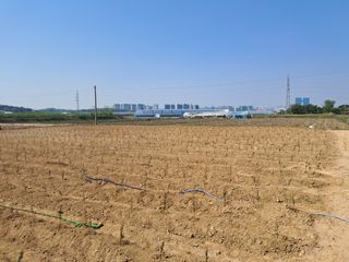 평택미꾸리님의 기타작물 · 영농일지 작성글 사진