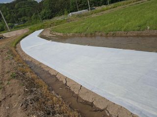 박정원님의 벼 · 영농일지 작성글 사진