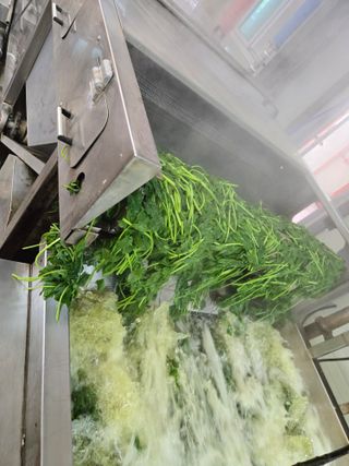 서동일님의 기타작물 · 영농일지 작성글 사진