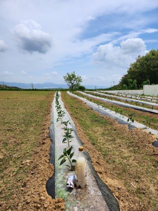 유정근님의 기타작물 · 영농일지 작성글 사진