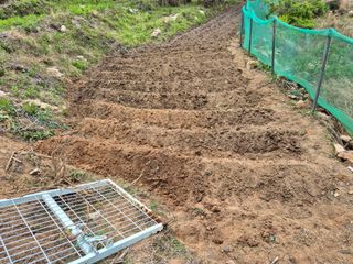 진문거사님의 기타작물 · 영농일지 작성글 사진
