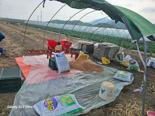 박명흠 님의 벼 · 영농일지 작성글 사진